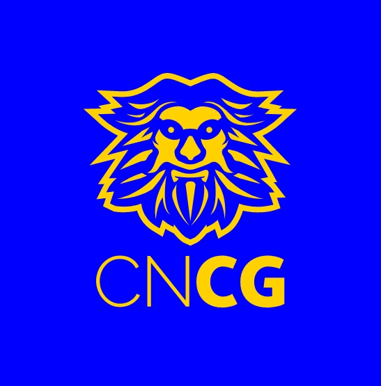 Restyling y rediseño, en Ciudad Real. Club natación Criptana Gigantes