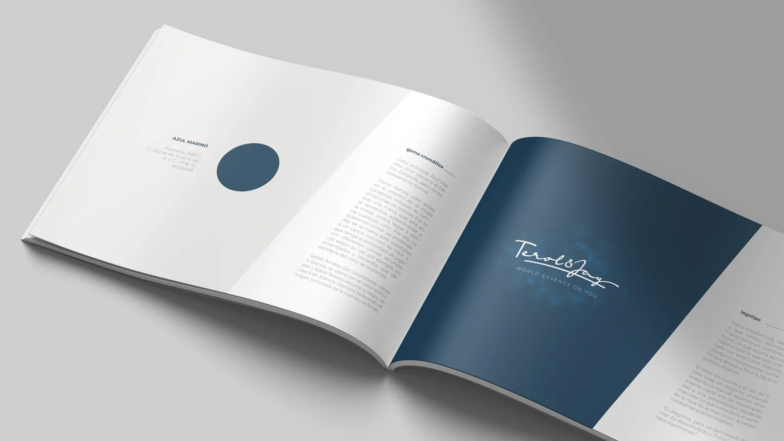 Diseño y creatividad, en Ciudad Real. Diseño de manual de marca. Terol & Jay